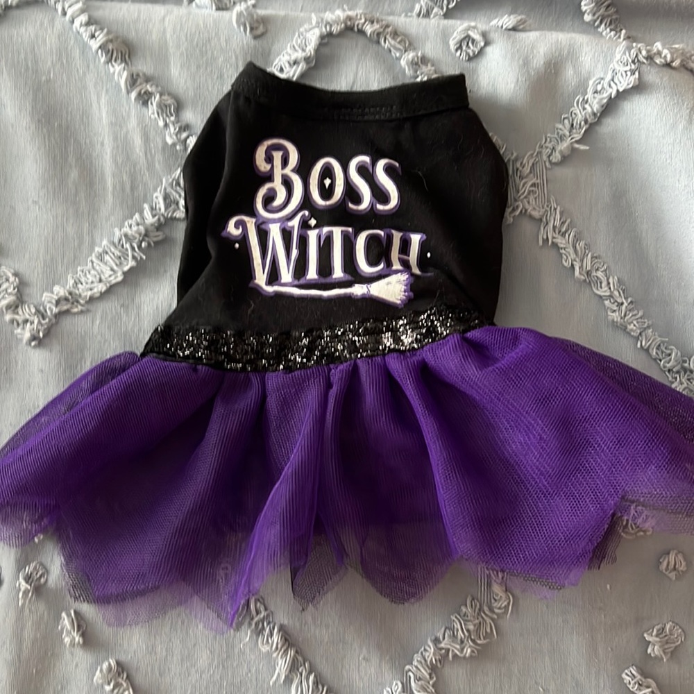 Dress /Skirt for puppy